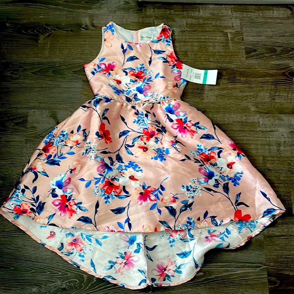 NWT Rare Edition Floral Blush Pink Dress Size 16